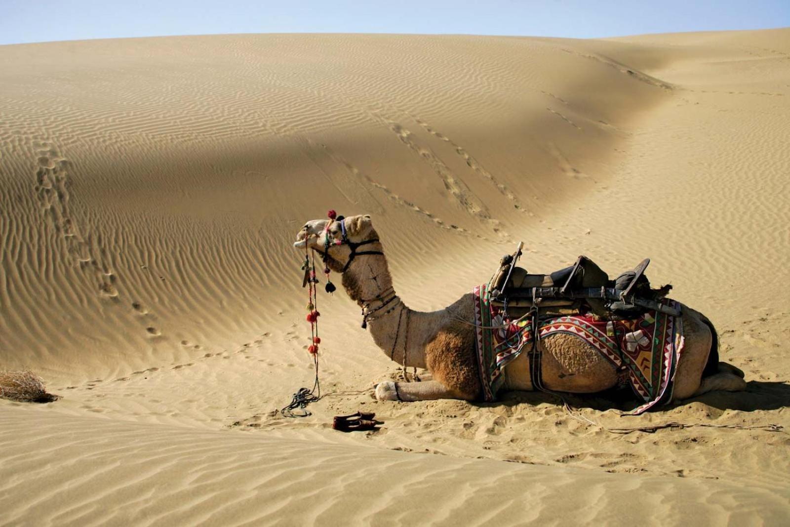 Sam Dunes Desert Luxury Camp & Resort Jaisalmer Εξωτερικό φωτογραφία