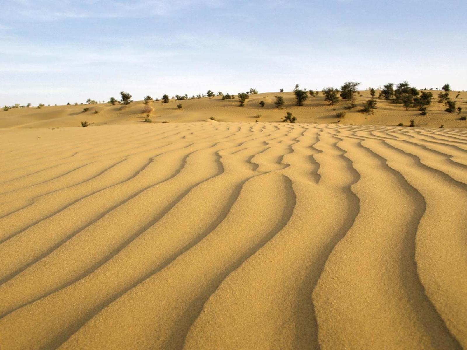 Sam Dunes Desert Luxury Camp & Resort Jaisalmer Εξωτερικό φωτογραφία