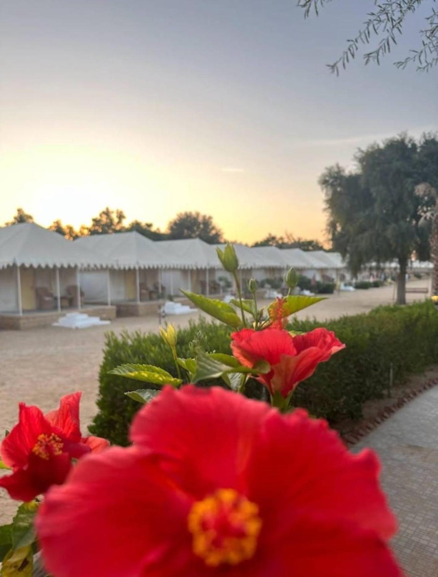Sam Dunes Desert Luxury Camp & Resort Jaisalmer Εξωτερικό φωτογραφία